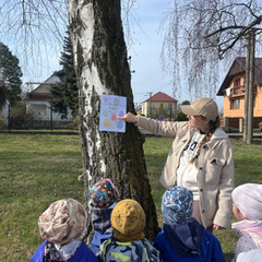 Náhled obrázku